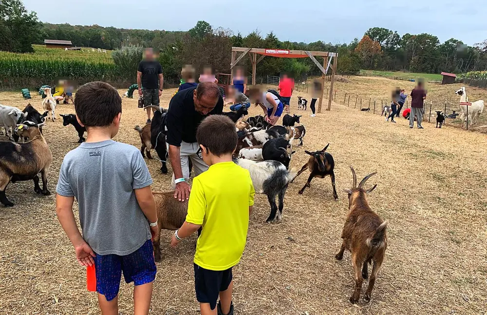 Two children and an adult from the Bereket Farmstead family petting goats in a dry grassy yard