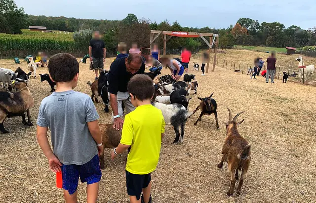 Two children and an adult from the Bereket Farmstead family petting goats in a dry grassy yard