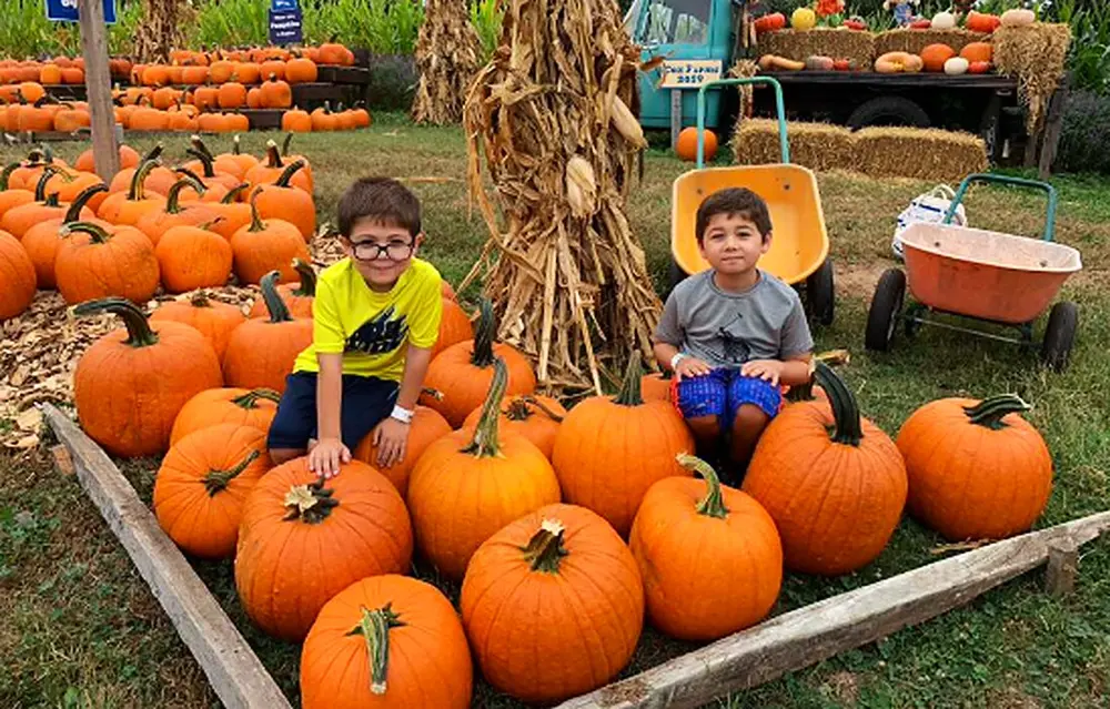 Two smiling children from the Bereket Farmstead family sitting on large orange pumpkins beside corn stalks and garden wagons